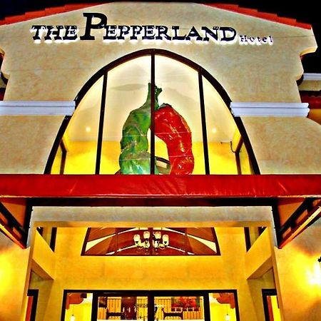 The Pepperland Hotel Legazpi Εξωτερικό φωτογραφία